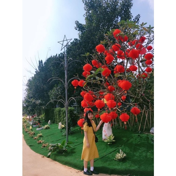 Váy hoa nhí hachie vintage dáng dài