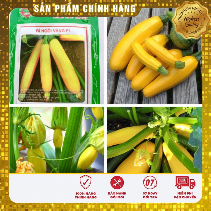 Hạt giống bí ngòi vàng - 10 hạt