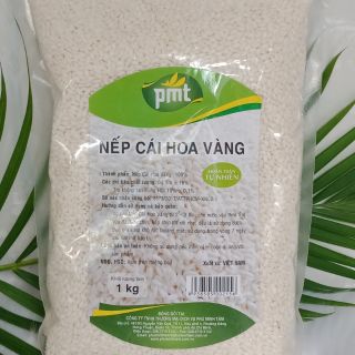 Nếp Cái Hoa Vàng