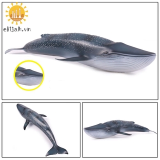 Mô Hình Cá Mập Đồ Chơi Chân Thật