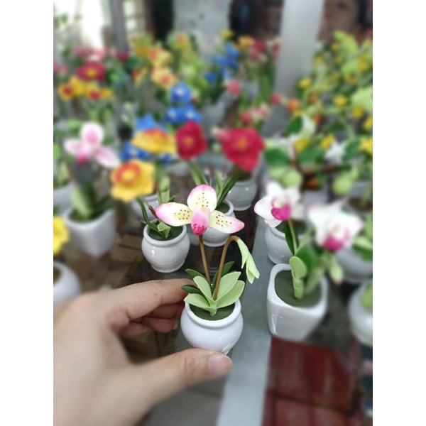 HOA ĐẤT SÉT NHẬT MINI 10-12CM,.