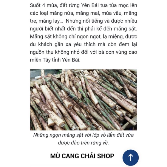 Măng sặt, măng trúc, măng ngọt Yên Bái túi 500g