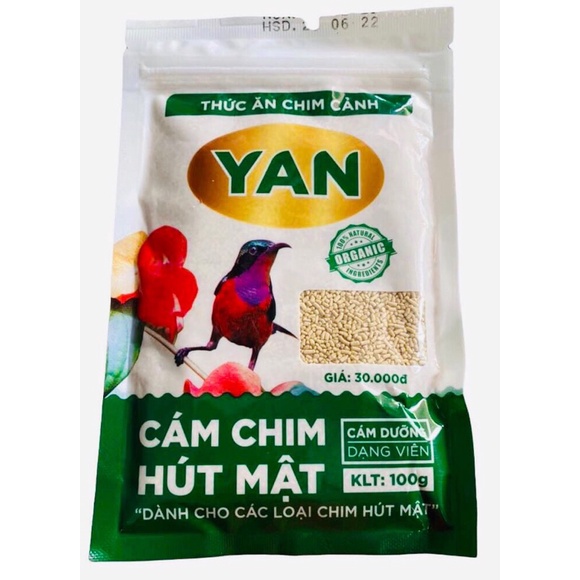 Cám hút mật- Yan NiBass