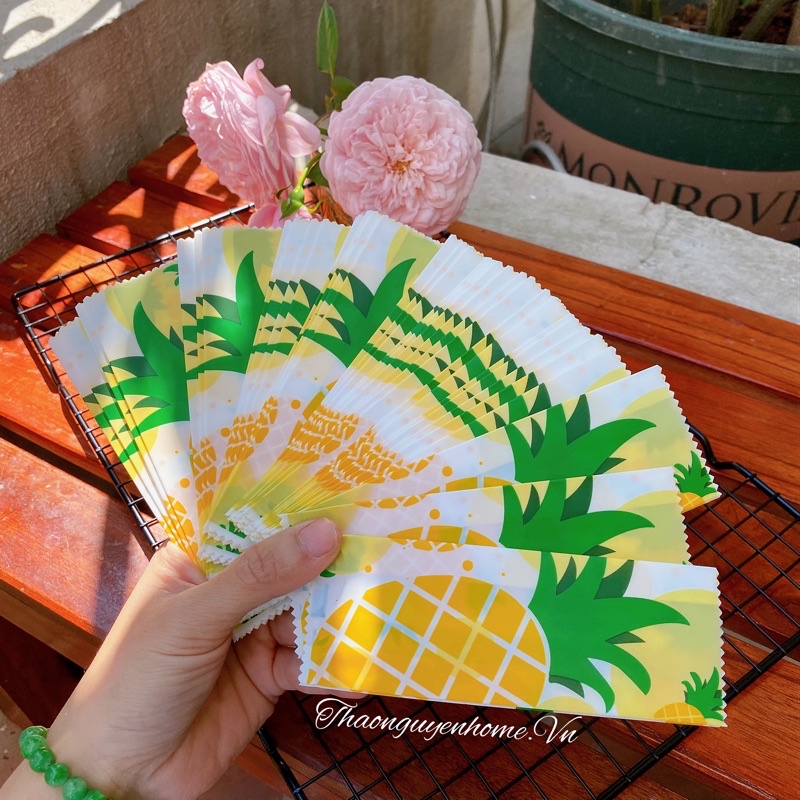 Khay túi đựng bánh dứa nhiều mẫu đẹp