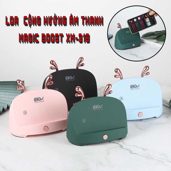 LOA CẢM ỨNG KHUẾCH ĐẠI ÂM THANH XM-318 ( Có Video)