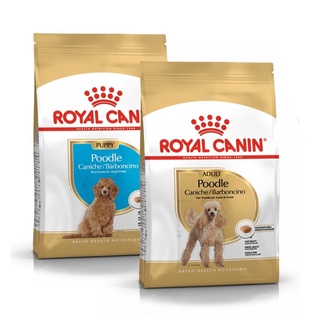 ROYAL CANIN POODLE - Thức ăn hạt khô dành riêng cho giống chó Poodle