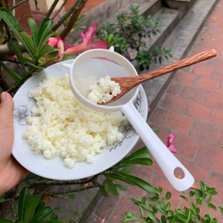 Nấm Kefir + vợt lọc ( tặng thìa nhựa )