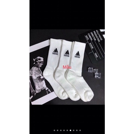 TẤT THỂ THAO CAO CỔ set 10 đôi