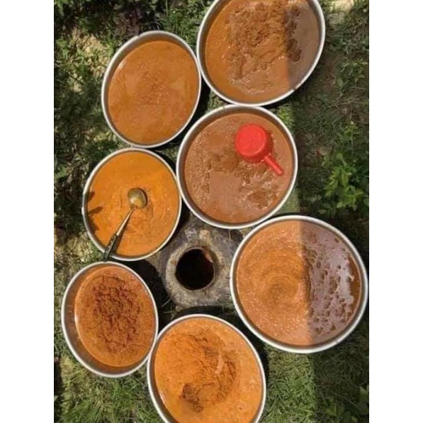 Rựu nghệ hạt gấc hạ thổ