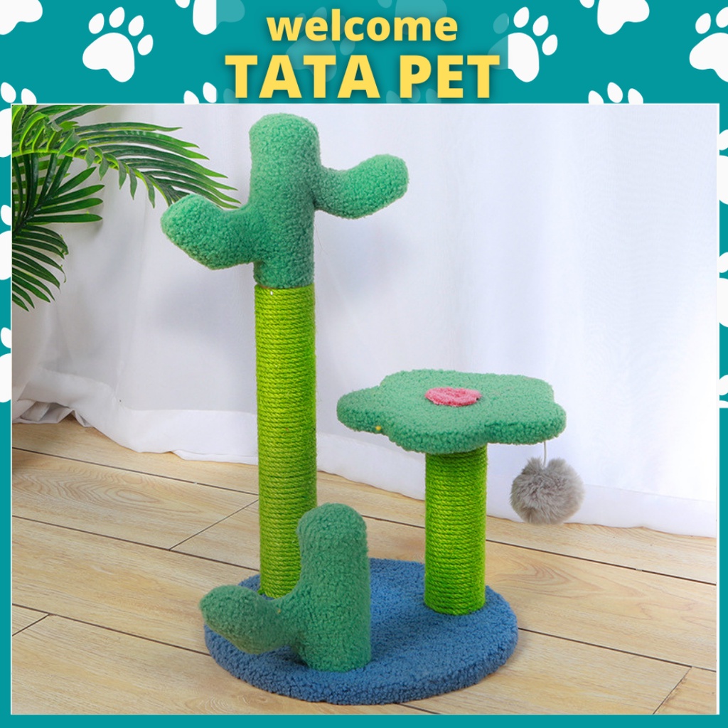 Cây cào móng cho mèo cattree bàn cào móng cho mèo HÌNH XƯƠNG RỒNG MÀU XANH (CM2.6) TATAPET