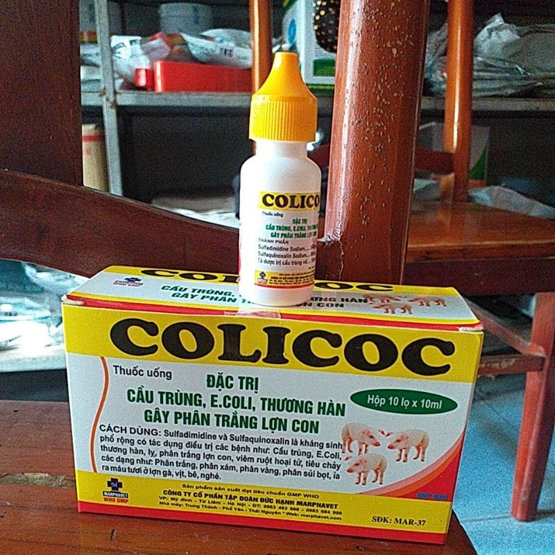Colicoc cho vật nuôi cầu trùng, ecoli, phân trắng lợn con, máu tươi, sáp, chó mèo, gà đá  đi ỉa