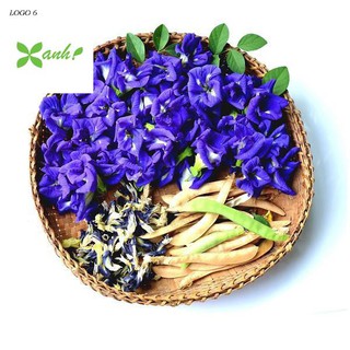 20 Hạt giống Hoa Đậu Biếc (Dễ trồng)