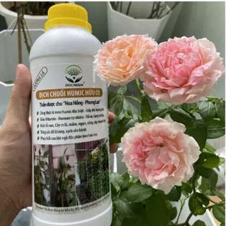 Phân bón hữu cơ dịch chuối, phân bón cho phong lan, hoa hồng, cây cảnh kích rễ, kích kei, chồi, mầm, chai 1 lít