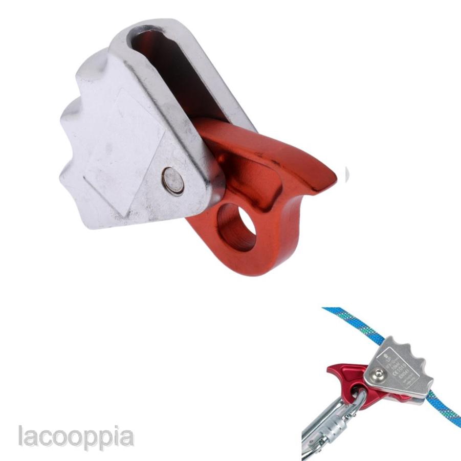 Dây Thừng Bảo Vệ An Toàn Cho Cây Leo Núi 9-12mm