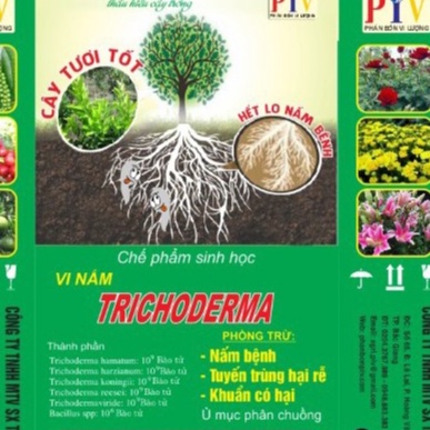 Chế Phẩm Trichoderma Dùng Tưới Cây, Trộn Đất Phòng Trị Nấm Bệnh, Thoát Rễ Tốt Gói 100gr