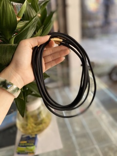 Dây đeo cổ
