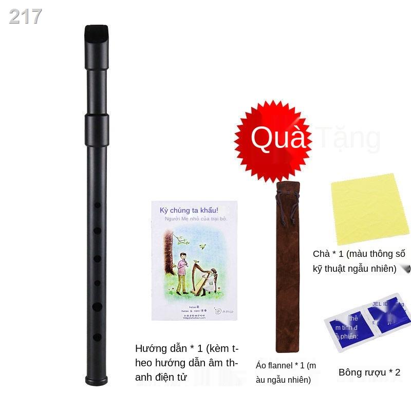 【2021】Còi mới học Sáo thiếc treble Tiếng Ailen D phím 6 lỗ dành cho người bắt đầu kèn clarinet nhạc cụ Celtic