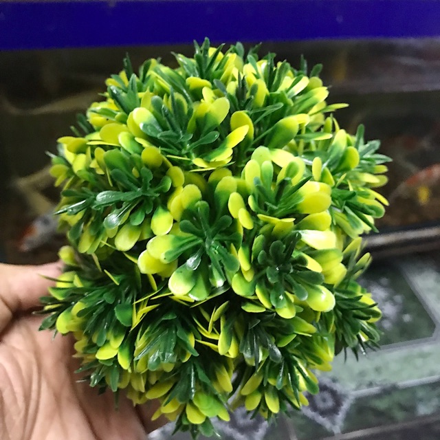 RONG GIẢ TRANG TRÍ HỒ CÁ NON BỘ ĐƯỜNG KÍNH 13CM CAO 12CM