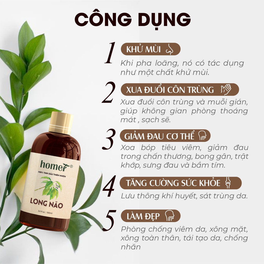 Tinh dầu Long Não Homer - Camphor Essential Oil  - đạt chuẩn chất lượng kiểm định