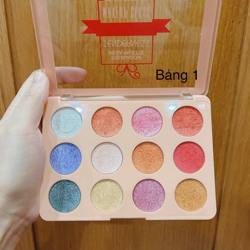 Phấn Mắt 12 Ô TENDERNESS màu chuẩn sịn lâu trôi Hot | BigBuy360 - bigbuy360.vn