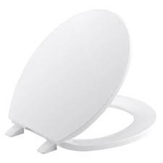 Nắp bồn cầu nhựa trắng SZ02, dài 42cm