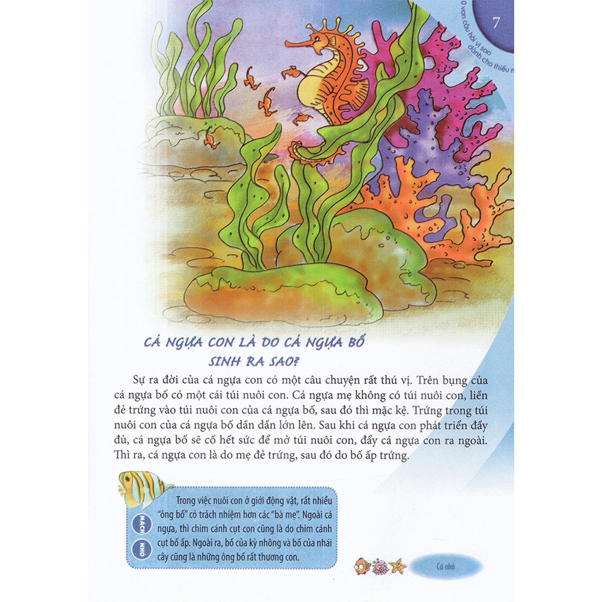 Sách - 10 Vạn Câu Hỏi Vì Sao Dành Cho Thiếu Nhi_Cá Ngựa, Chim Cánh Cụt Và Cá Sấu - ML