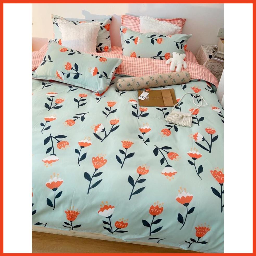 Bộ chăn ga Cotton Poly Su House beddinbg chăn ga Hàn Quốc hoạ tiết hoa tuy lip đỏ đủ size miễn phí bo chun