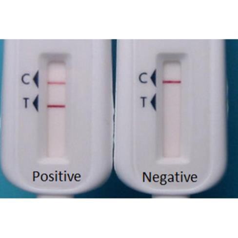 QUE TEST HIV BẰNG DỊCH MIỆNG,QUE THỬ HIV OraQuick không cần lấy máu