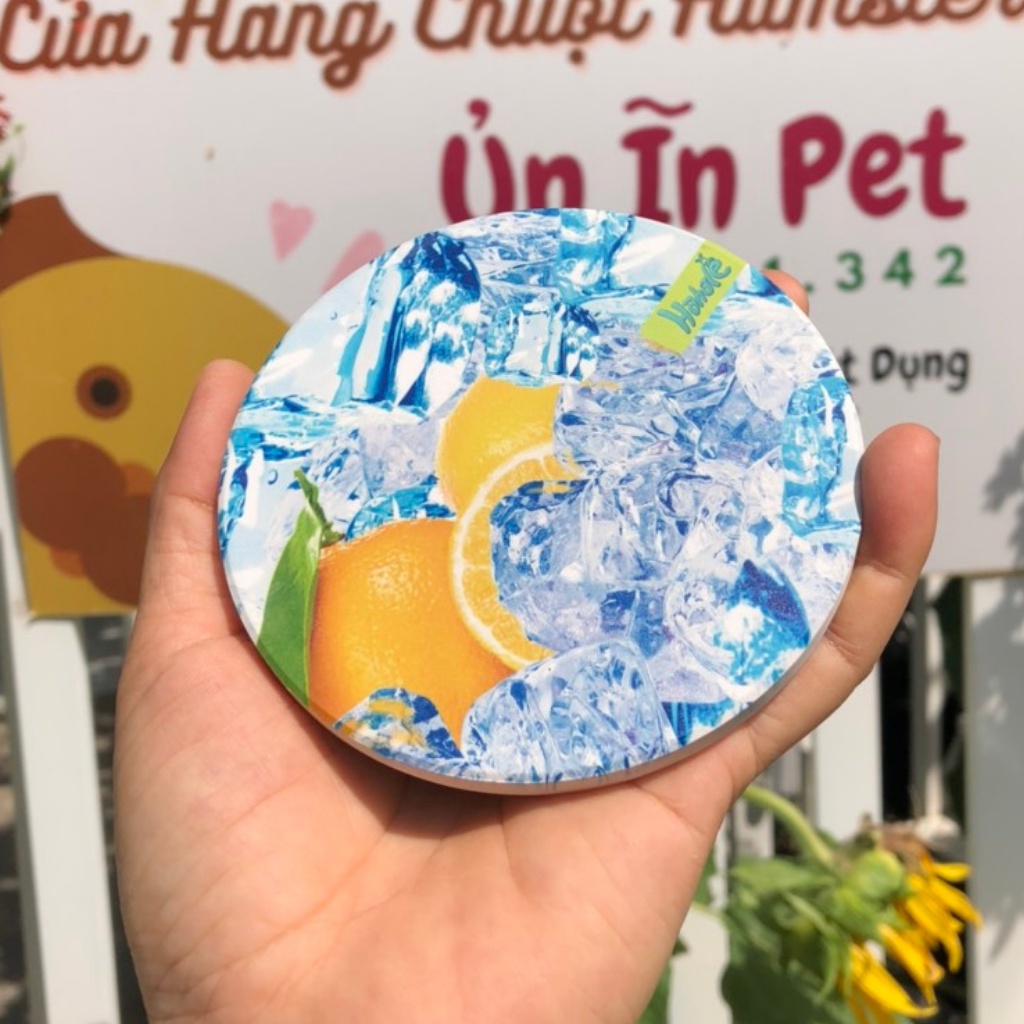 Tấm sứ tản nhiệt cho hamster, sóc, bọ, nhím, thú nhỏ