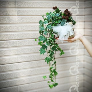 Chậu gỗ trồng cây - kiểu đứng
