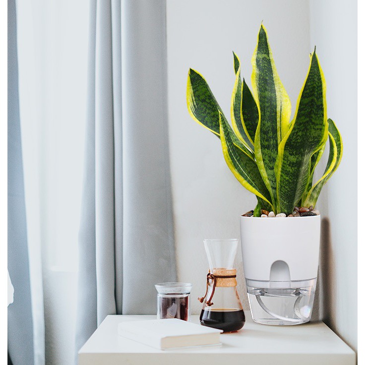 Chậu trồng cây thông minh hình tròn, đáy trong suốt, có chức năng tự tưới nước, chậu trồng cây sang trọng cho văn phòng