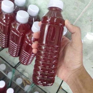 Vi sinh quang hợp psb, vi sinh làm trong nước hồ cá, hồ thủy sinh