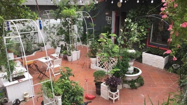 Khung vòm dành cho hồng leo