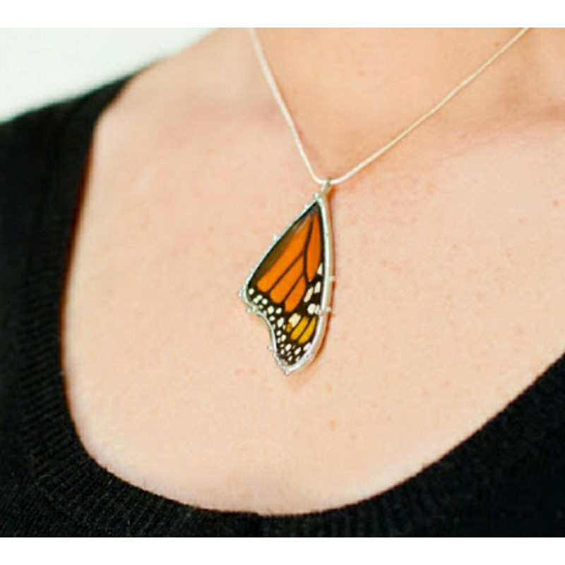 Real Butterfly Wings sử dụng trong Resin Handmade [ Vui lòng đọc kỹ mô tả sản phẩm trước khi mua hàng]
