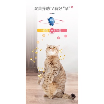 Vitamin tổng hợp InKat cho mèo với tổ hợp Vitamin B và Folic Acid (120v)