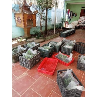 túi lưới đựng tôm cua cá , rắn , lươn - lưới sịn
