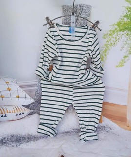 Combo 3 Bộ cotton len loại 1
