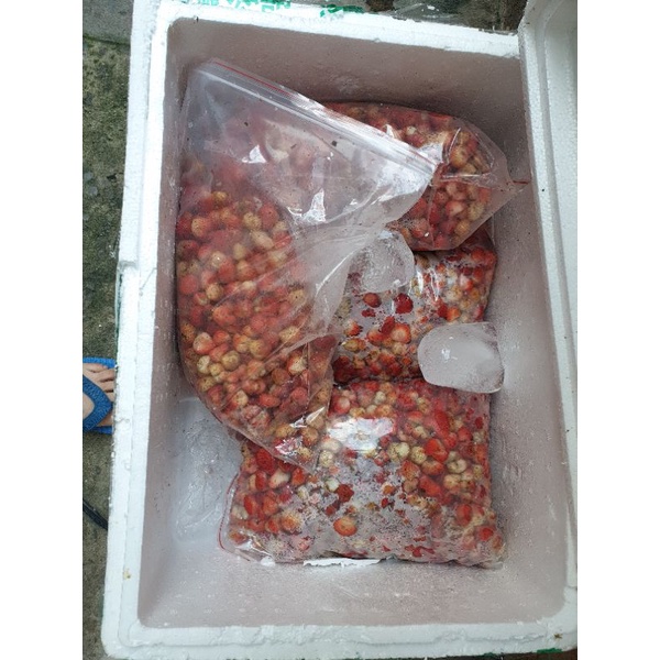 Dâu tây tươi gọt 1kg - cung cấp làm trà dâu