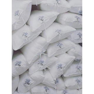 SỈ GỐI THƠM LAVENDER