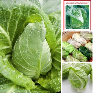 Hạt giống bắp cải xanh trái tim xanh-gói 30 hạt-tặng kèm gói phân bón lót