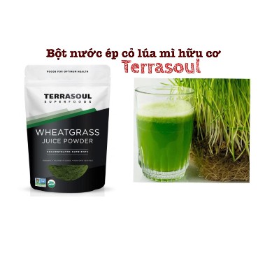 Bột Nước Ép Cỏ Lúa Mì Hữu Cơ ( Organic Wheat Grass Juice Powder ) 141g