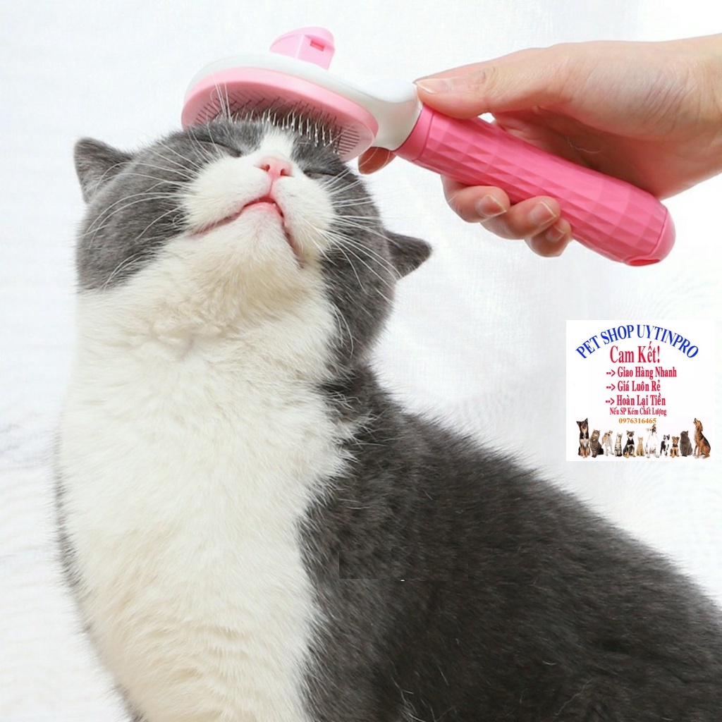 Lược chải lông Chó Mèo Thiết kế đầu lược chấm bi Có nút bấm lấy lông Dài 20cm TAOTAOPETS Giúp làm mượt lông, Lấy lông dễ