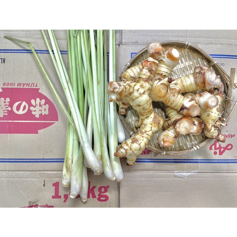 SẢ CÂY TƯƠI