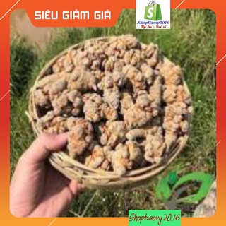 [Rẻ vô địch] Củ tam Thất bắc khô 5-7-9 củ/gram Bắc Hà Lào Cai loại chuẩn xịn