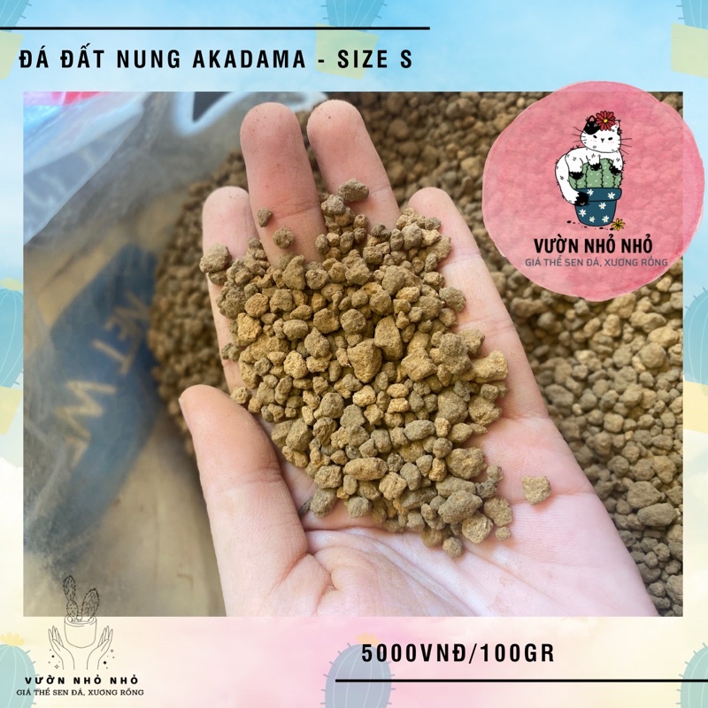 100gr Đá Akadama Nhật Bản loại cứng size S và SS dùng để rải mặt chậu, trồng sen đá, xương rồng, lithops
