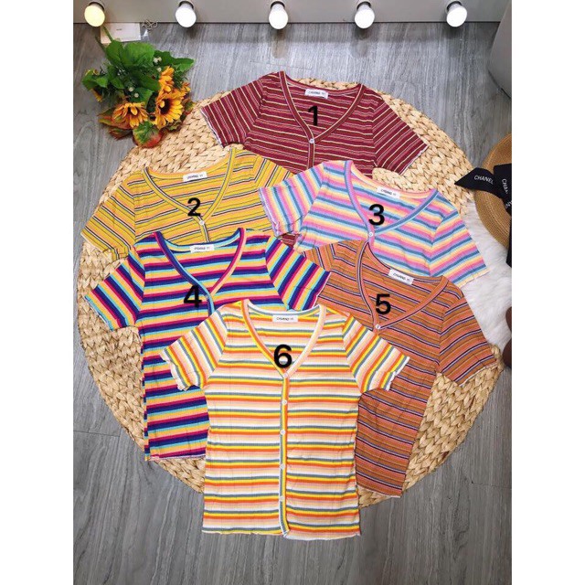 Áo thun kẻ cổ tim cúc mã 357