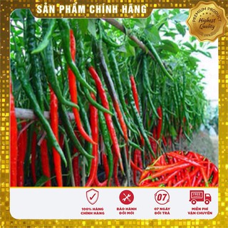 -18k Combo sản phẩm vụ thu - đông