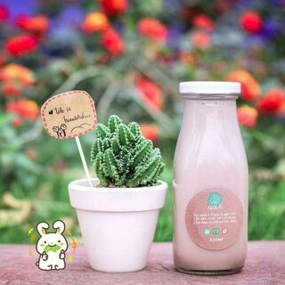 Chai thủy tinh đựng sữa 300ml