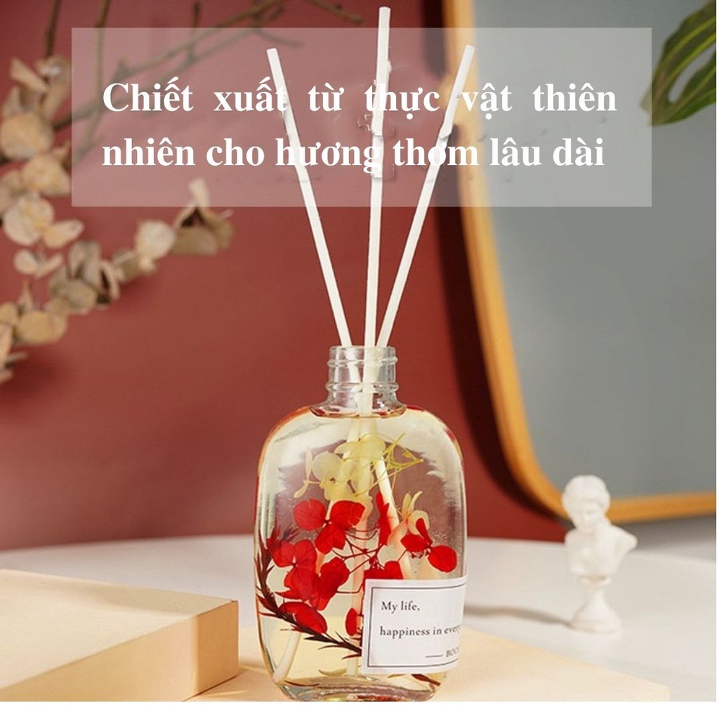 Lọ nước hoa thơm phòng BYME lọ tinh dầu thơm phòng khuếch tán hương thơm - TD36