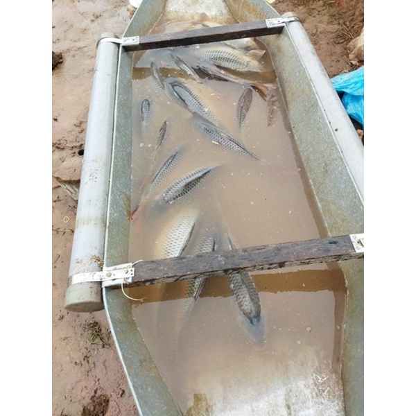 Cám Cá Độ Đạm 20% Chuyên Câu Cá Lớn